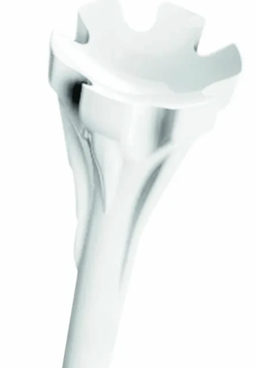 Champ White Zarma Fly Tee 69Mm - Image 3